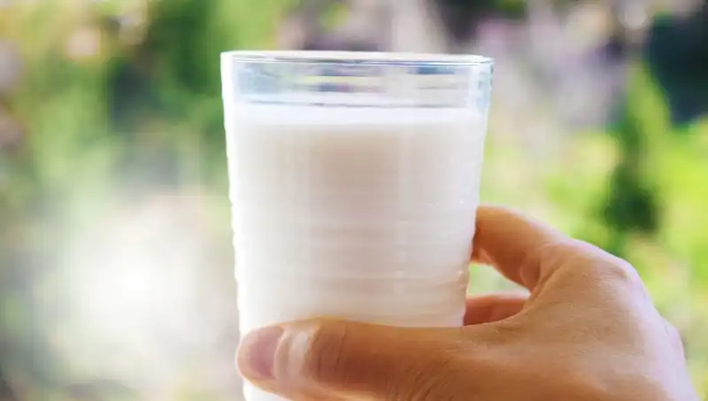 Uzman Doktordan Şaşırtıcı Açıklama: Süt Şişkinliğe Neden Oluyor Mu?