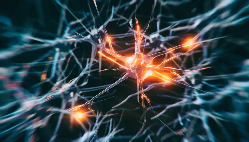 Alzheimer Vakalarındaki Artışın Arkasındaki Nedenler ve Çözüm Önerileri
