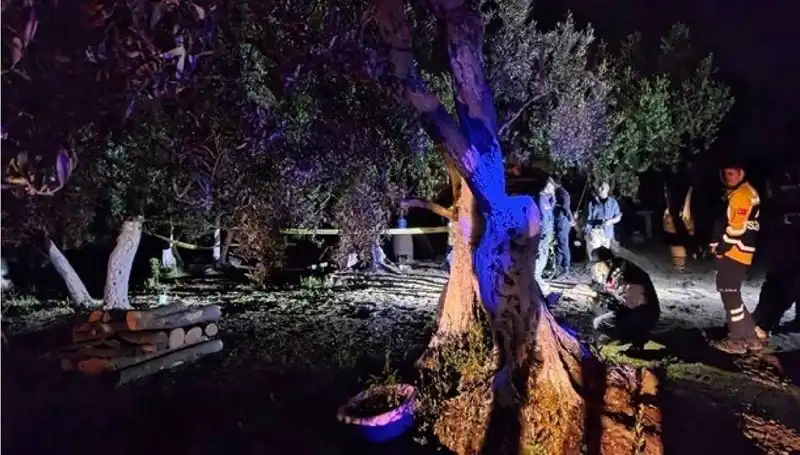 Çiftlikteki Baltalı Saldırı: Bir Gözaltı ile Vahşete Son Verildi!