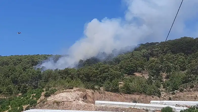Kumluca’da Korkutan Orman Yangını: Ekipler Seferber Oldu!