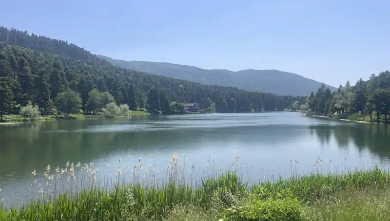 Bolu'nun Milli Parkları: Doğa Aşıkları İçin Eşsiz Bir Kaçamak