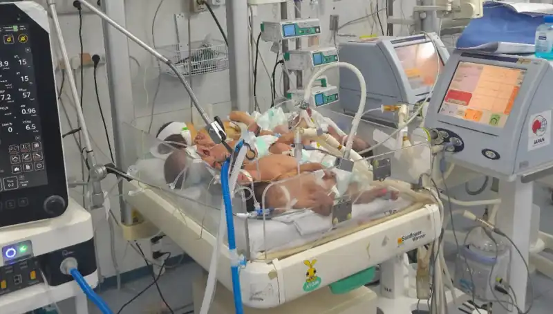 Gazze'deki Doktorlar Alarmda: Çocuklar Tek Kuvözde Hayatta Kalma Mücadelesi Veriyor