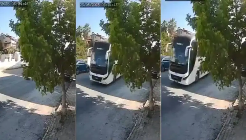 Yoluna Devam Eden Araç, Yolda Yatan Köpeği Feci Şekilde Ezdi!