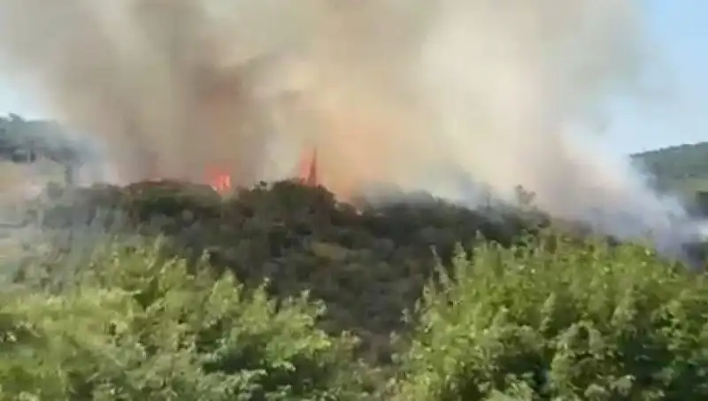 İstanbul Orman Yangınında Acil Tahliye: Vatandaşların Güvenliği Öncelik