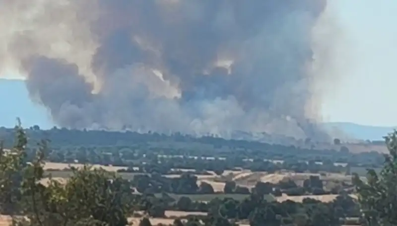 Komşudaki Orman Yangını, Edirne'yi Alev Alev Sarhoş Etti!