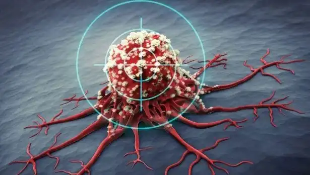 Prostat Kanserine Karşı Güçlü Destek: 6 Besin ile Mücadele Edin