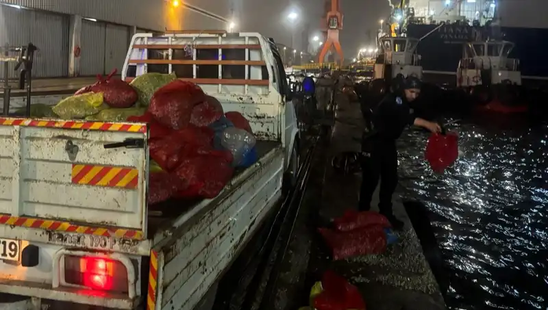 Kaçak Midyelerden İki Tonu Ele Geçirildi: Detaylar Ortaya Çıktı!