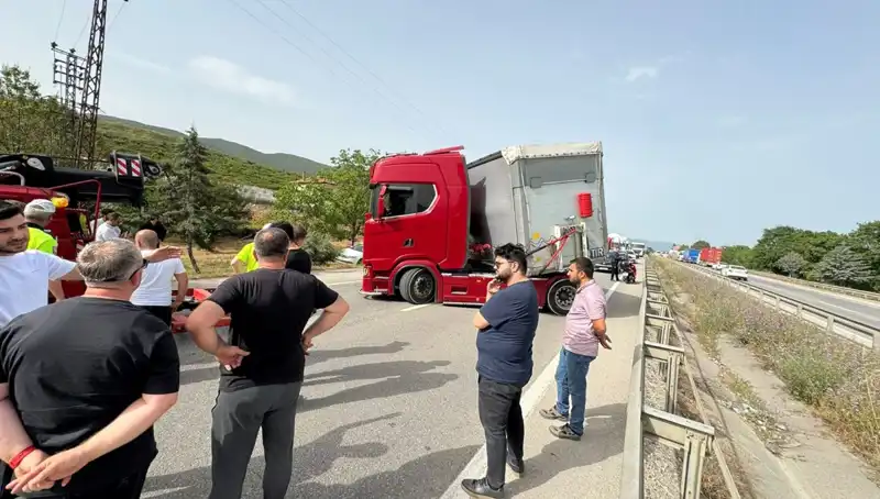 Seyir Halindeyken Arı Soktu: Trafik Kilitlendi, Şok Anlar Yaşandı!