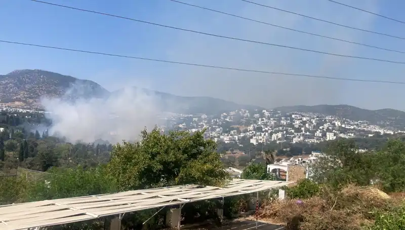 Muğla'daki Orman Yangınları Kontrol Altına Alındı: Kurtarma Çabaları ve Son Durum