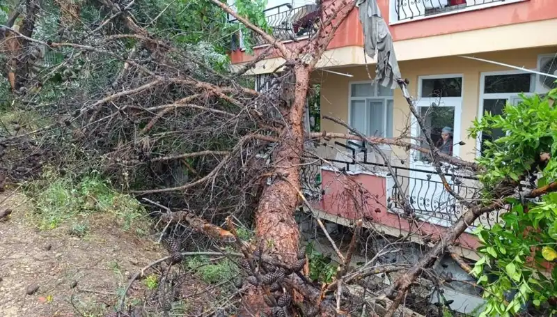 Sarsıcı Olay: Yağmurun Kurbanı Olan Bina Çöktü!