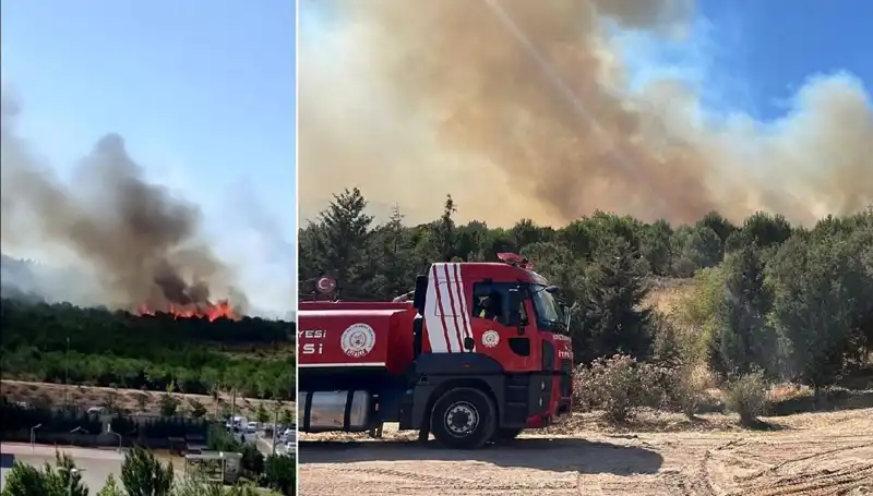 Gebze’deki Orman Yangını, Doğanın Kalbini Yakıyor: Sebep ve Sonuçları