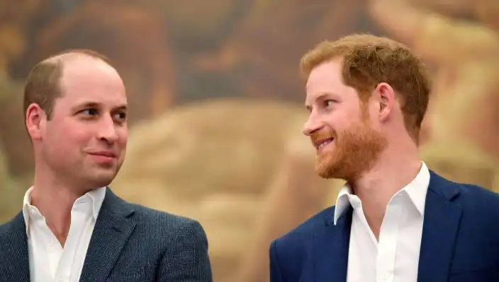 Prens Harry ve Prens William Arasındaki Küslük: Monarşiye Olacak Etkileri